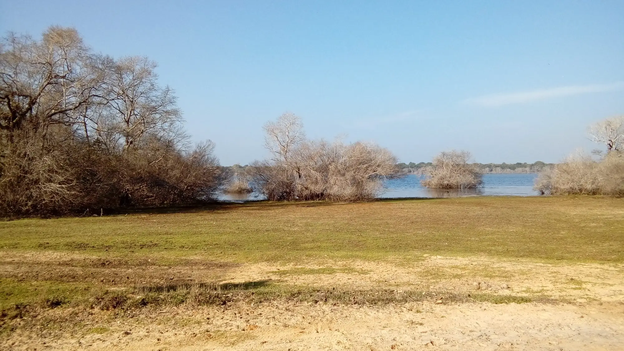Wilpattu villu with dry-zone scrub